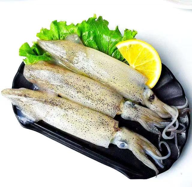 美国加州鱿鱼